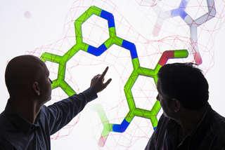 英国科学家正在讨论<a href='http://nt1j.markandlynsey.com'>澳门第一赌城在线娱乐</a>开发的一种化合物